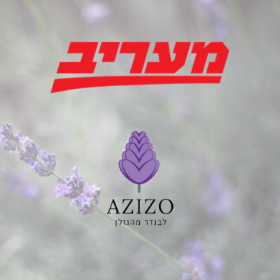 מעריב - azizo